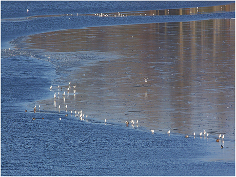 langs de randen van het water