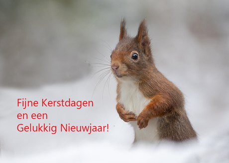 Fijne Kerst en een Gelukkig Nieuw Jaar!