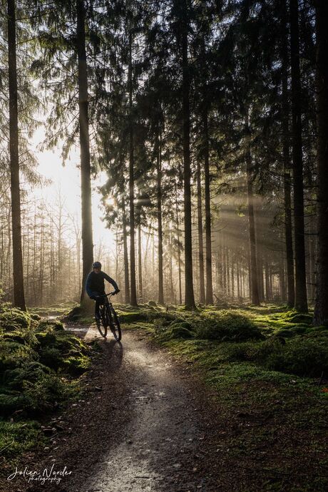 Fietser in het zonlicht 