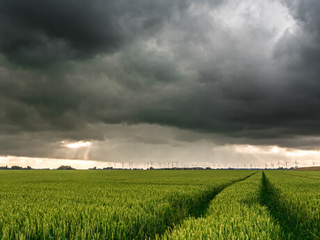 Uiteindelijk toch wat nattigheid op het land.