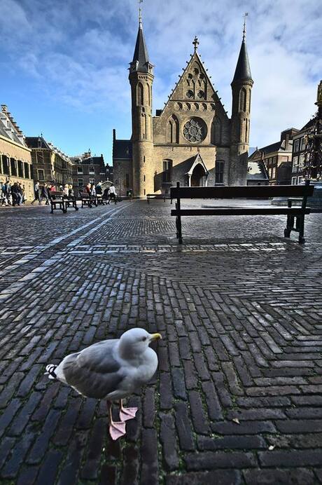 Dutch politics from a bird's view