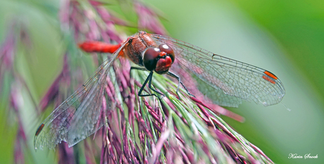 "Just being here..."