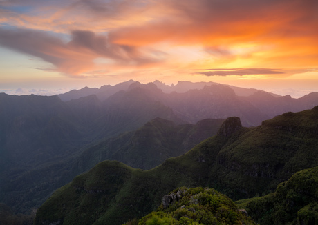 Madeira colors