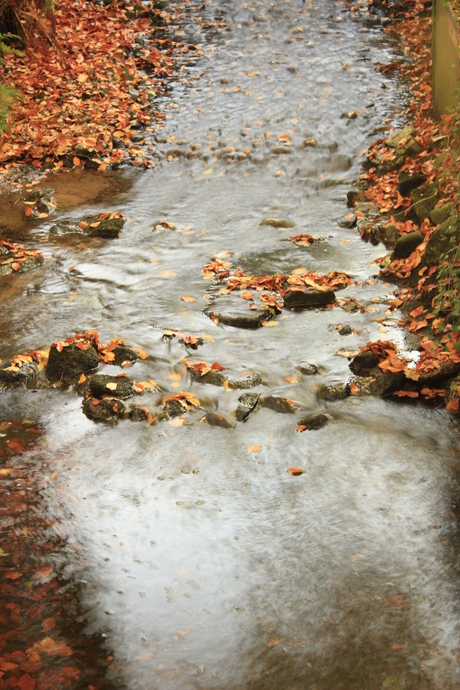 flowing stream