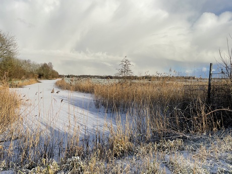 Sneeuwbui op komst