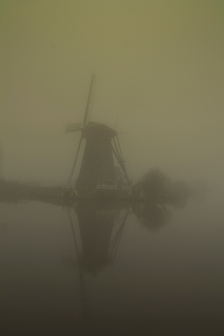 Een grille koude ochtend in kinderdijk.jpg