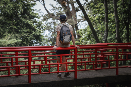 Botanische tuin in Funchal