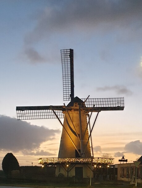 molen 