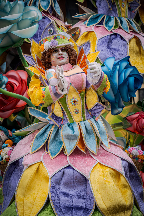 Feestvierder op Aalst carnaval