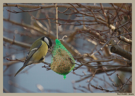 De honger is grotes als de schrik