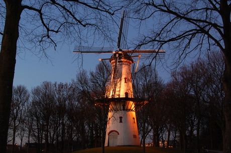 Molen de Hoop, Tholen