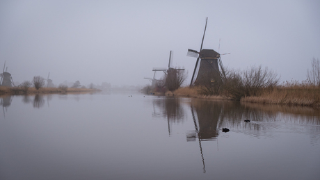 Kinderdijk in de Mist