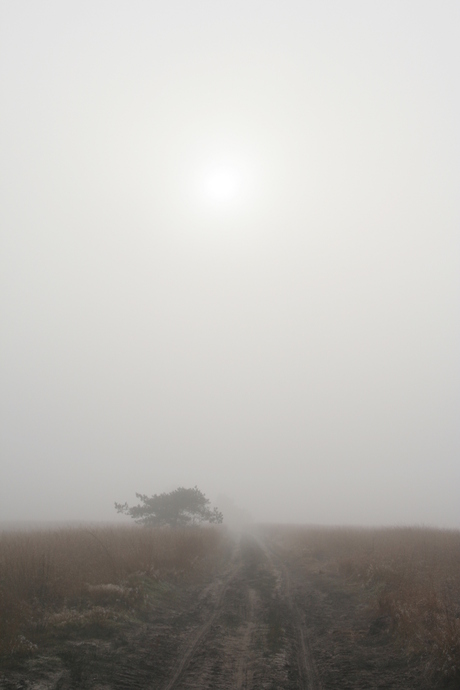 Heiweg, Hoge Veluwe