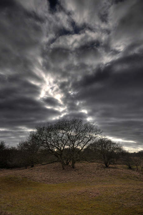 Wandeling Meijendel