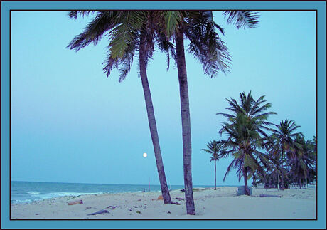 Tropical Moonset