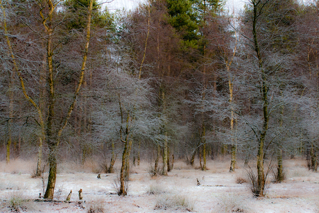 nog een beetje winter