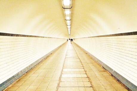 Tunnel of .....