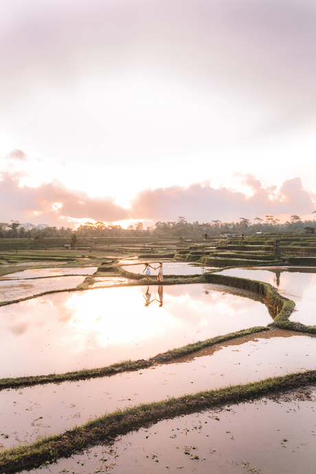 Wandering through the rice paddies Indonesia