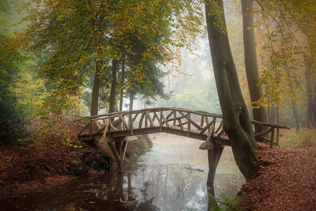 Brug in herfstbos