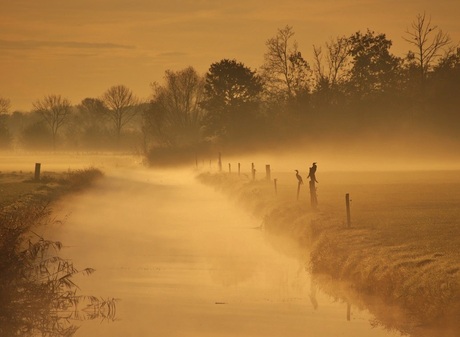 Nevel boven sloot en weilanden bij ochtendgloren