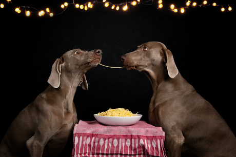 Zussenliefde is.... samen spaghetti eten