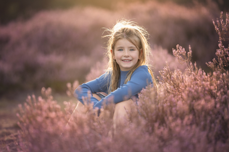 Gouden uurtje op de heide