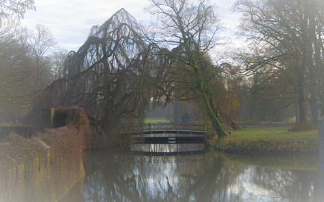 Bruggetje onder de bomen