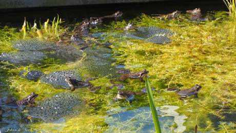 Best druk in de kraamkamer