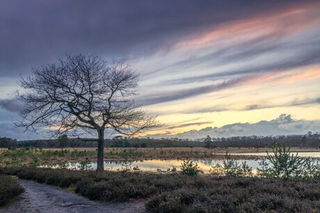 Tussen de buien door