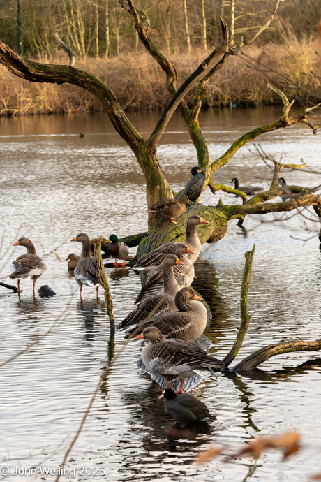 Zondagmiddag bijeenkomst!!!