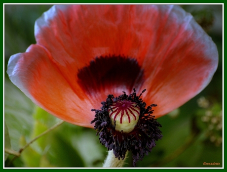 tot volgend jaar........