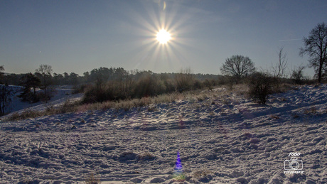 Ochtendgloren op de Brunssemerheide