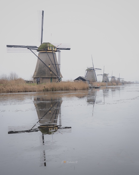 Kinderdijk