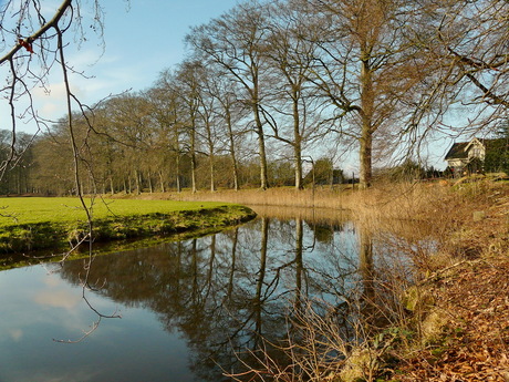 uit het archief 2011.