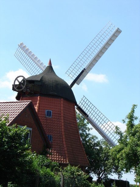 Een molen met pet