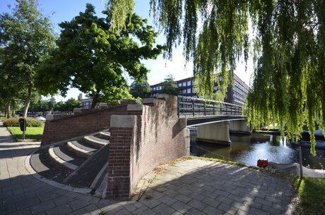 Kikkerbruggetje in Amsterdam