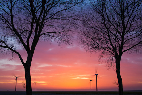 Windmolens zonsondergang2.jpg