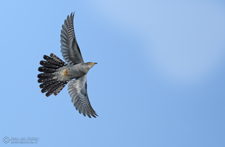 Fly By