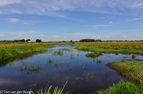 Mooi stukje natuur in Friesland
