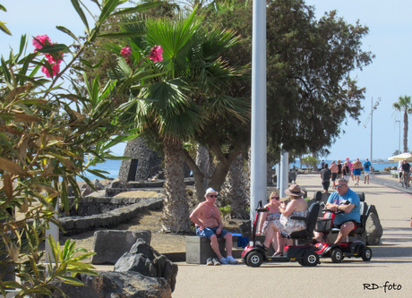 Lanzarote bastards