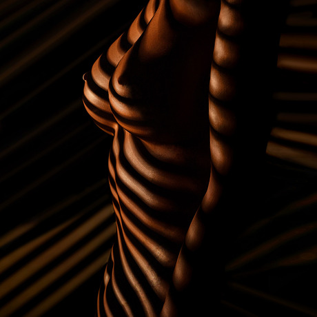 blinds lights for zebra bodypainting effect