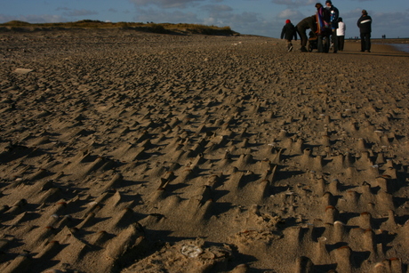 strand nieuwvliet