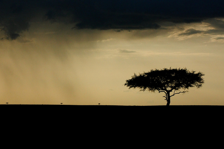 Masai Mara poëzie...
