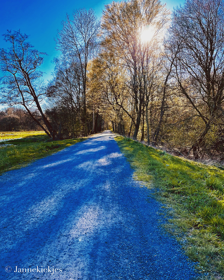 Amsterdamse bos