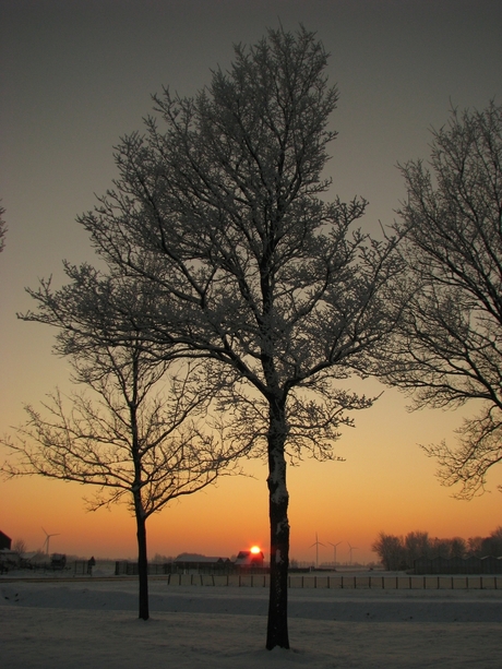 Ondergaande zon in de polder.