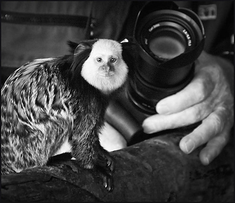 de vervolgstap.......................