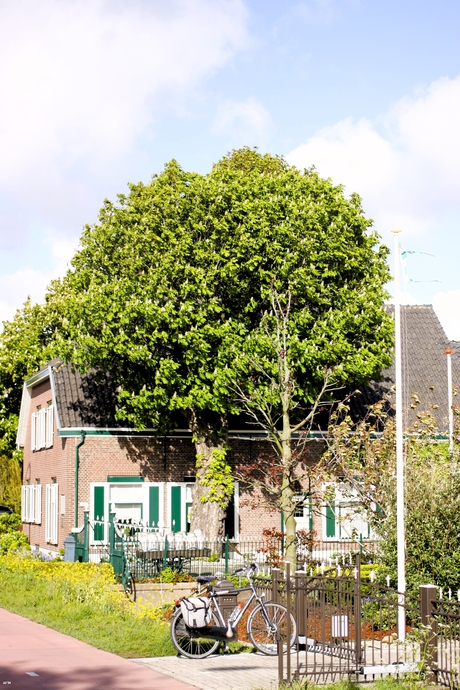 oude boerderij in de felle zon  