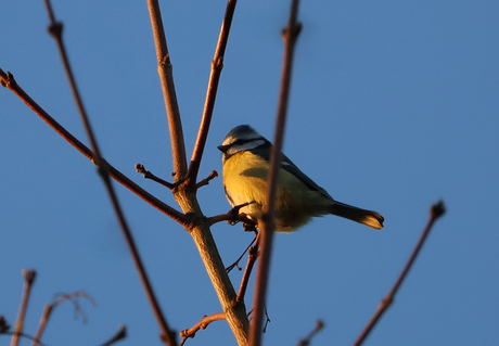 Genieten van de zon!
