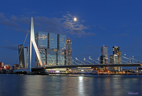 Rotterdam