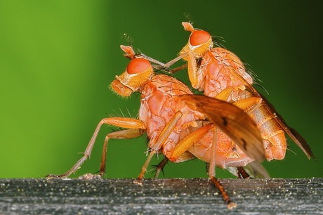 Caught in the act......